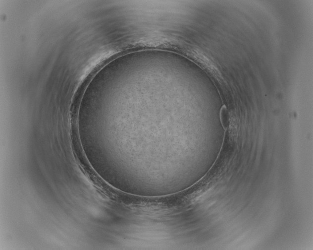 X0000088610626200706081435