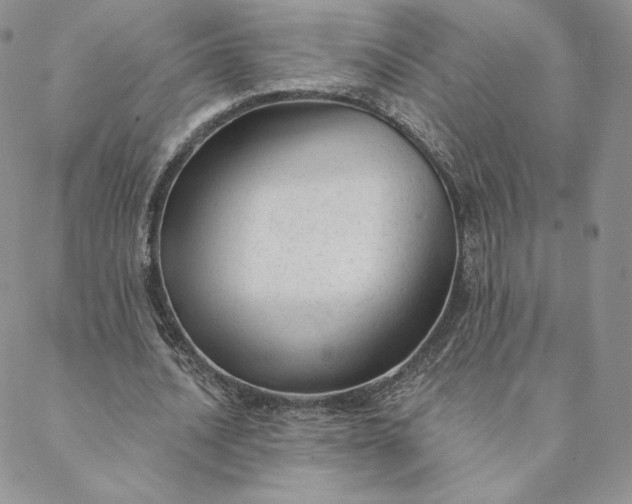 X0000088610628200706081435