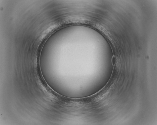 X0000088610629200706081435