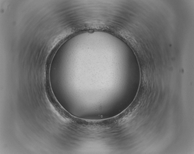 X0000088610630200706081435