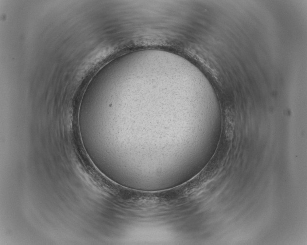 X0000088610631200706081435