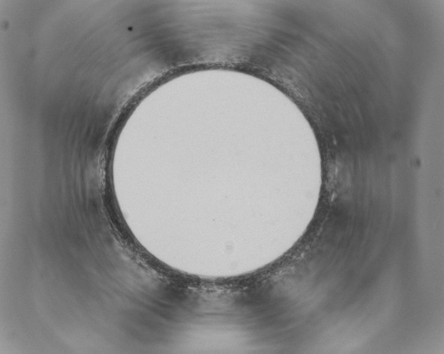 X0000088610632200706081435