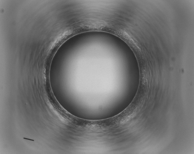 X0000088610634200706081435