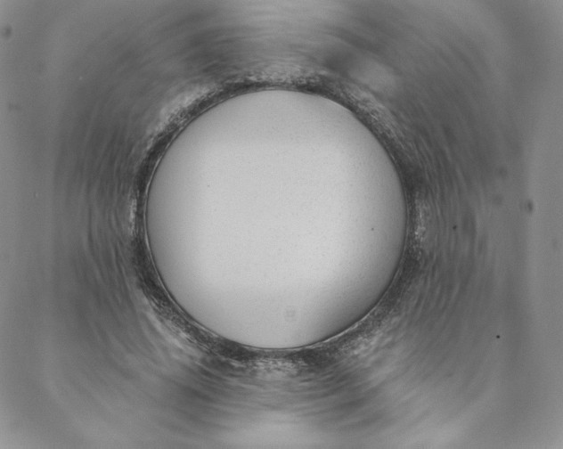 X0000088610636200706081435