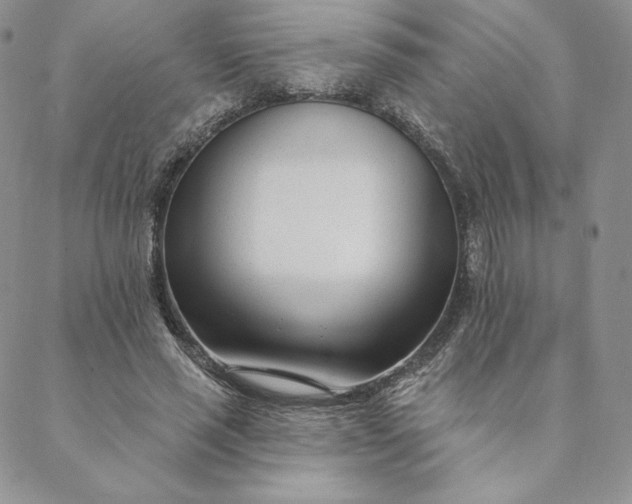 X0000088610637200706081435