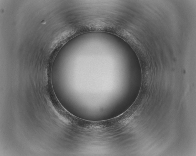 X0000088610638200706081435