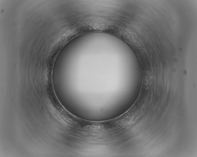 X0000088610639200706081435