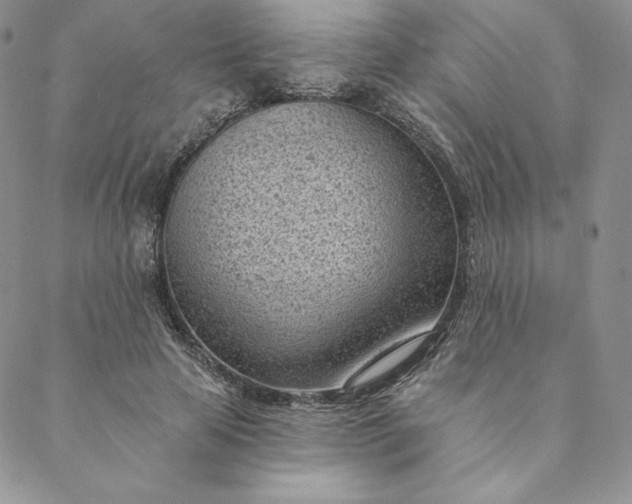 X0000088610641200706081435