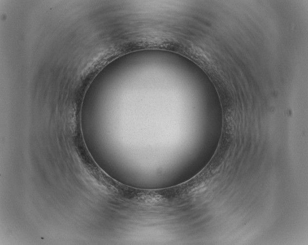 X0000088610642200706081435