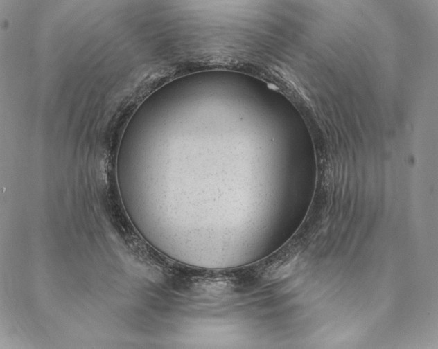 X0000088610643200706081435