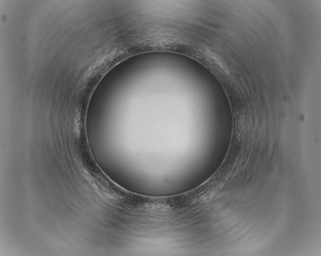 X0000088610644200706081435