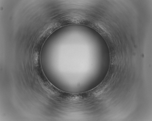 X0000088610646200706081435