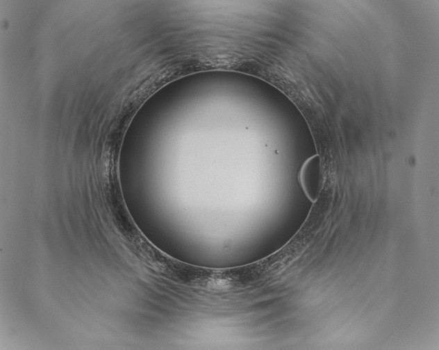 X0000088610647200706081435