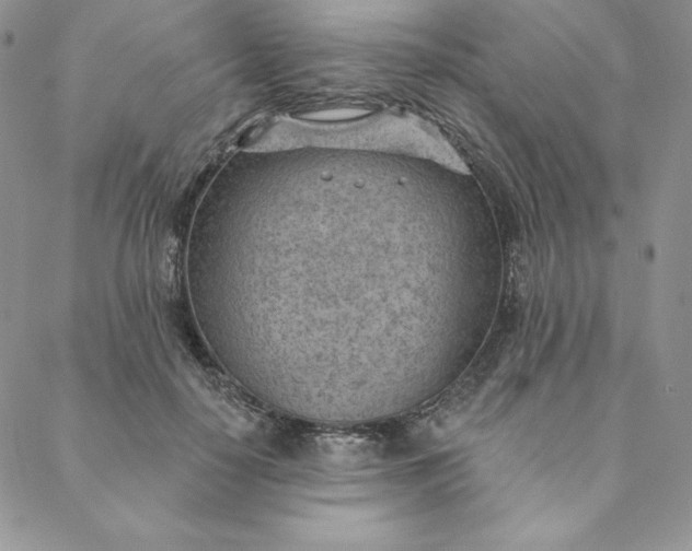 X0000088610650200706081435