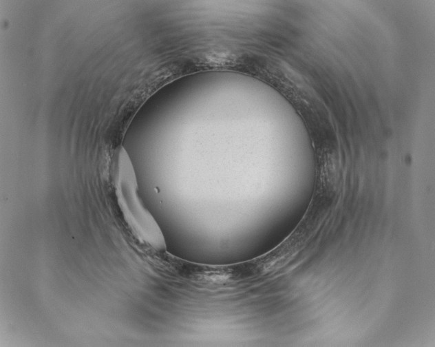 X0000088610651200706081435