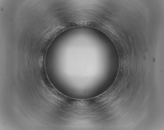 X0000088610652200706081435