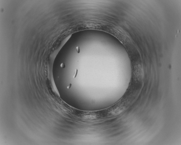 X0000088610653200706081435