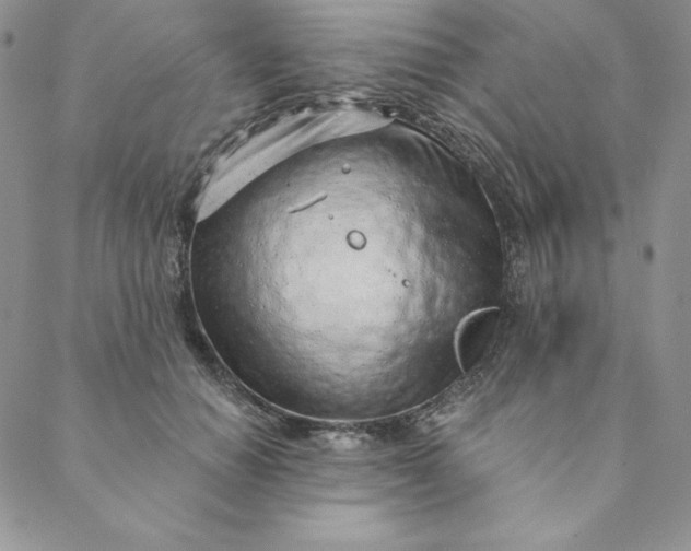 X0000088610654200706081435