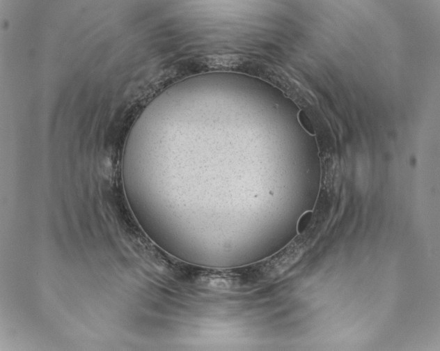 X0000088610655200706081435