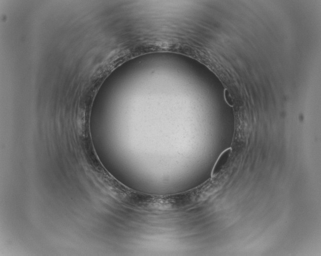 X0000088610656200706081435