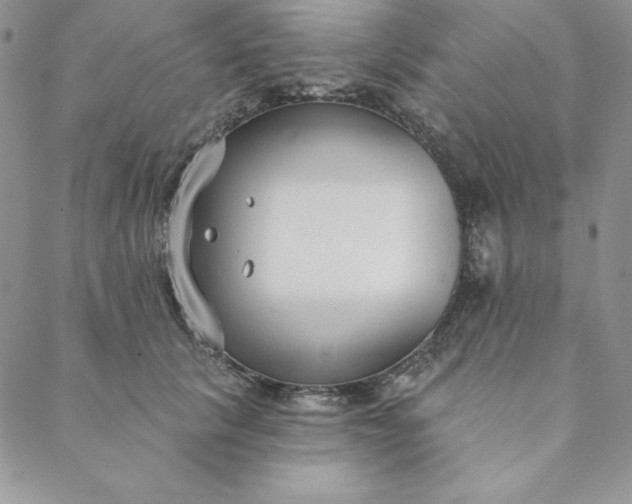 X0000088610657200706081435