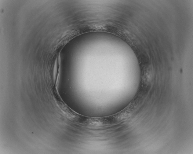 X0000088610658200706081435