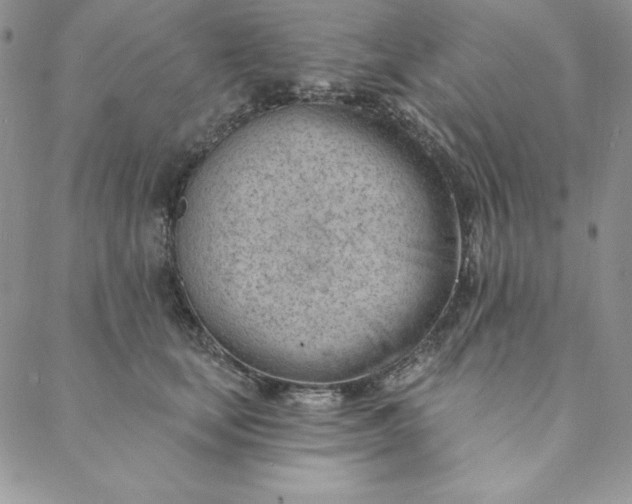 X0000088610659200706081435