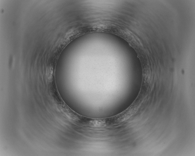 X0000088610660200706081435