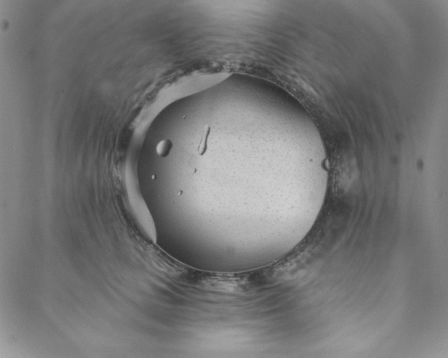 X0000088610661200706081435