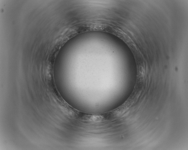 X0000088610663200706081435