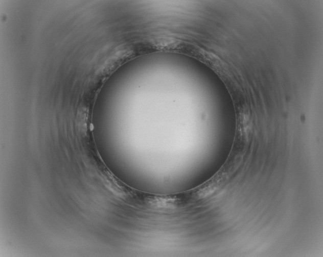 X0000088610664200706081435