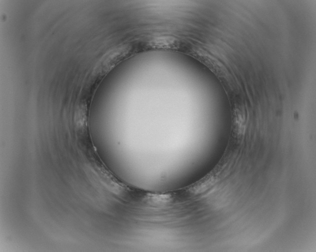 X0000088610665200706081435