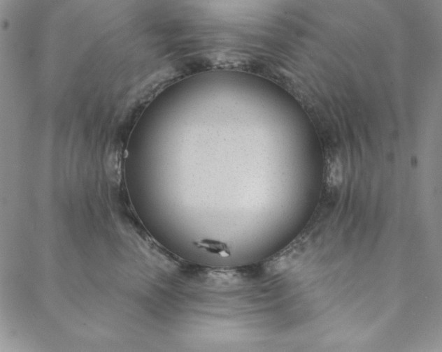 X0000088610666200706081435