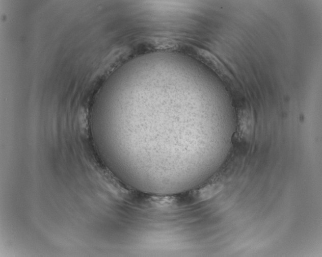 X0000088610667200706081435