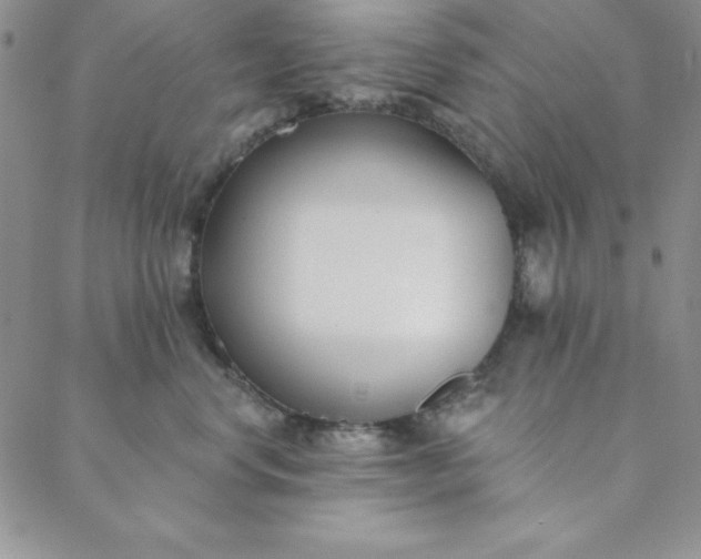 X0000088610668200706081435