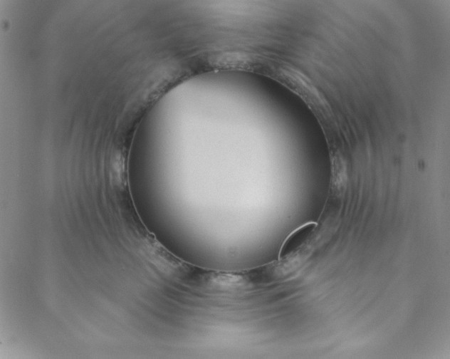 X0000088610669200706081435