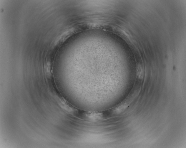 X0000088610670200706081435