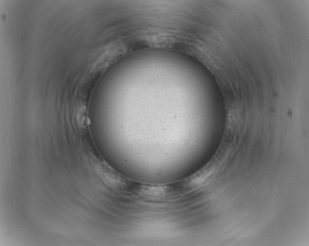 X0000088610671200706081436