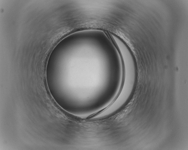 X0000088610673200706081435