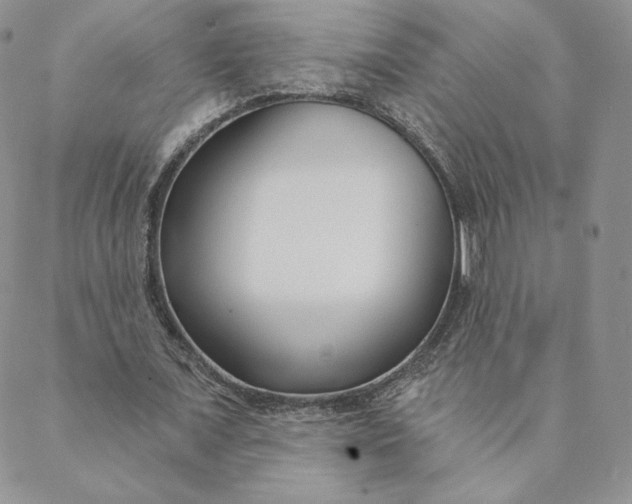 X0000088610675200706081435