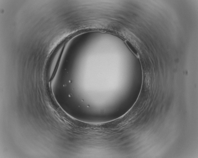 X0000088610676200706081435