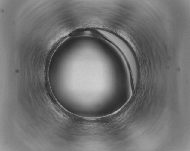 X0000088610677200706081435