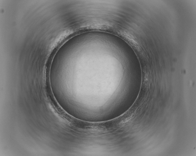 X0000088610678200706081435