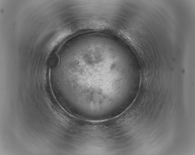 X0000088610679200706081435