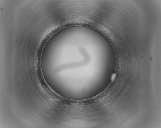 X0000088610680200706081435