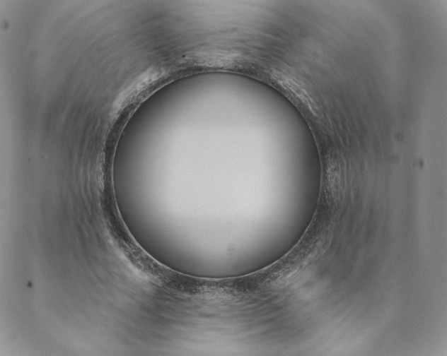 X0000088610682200706081435