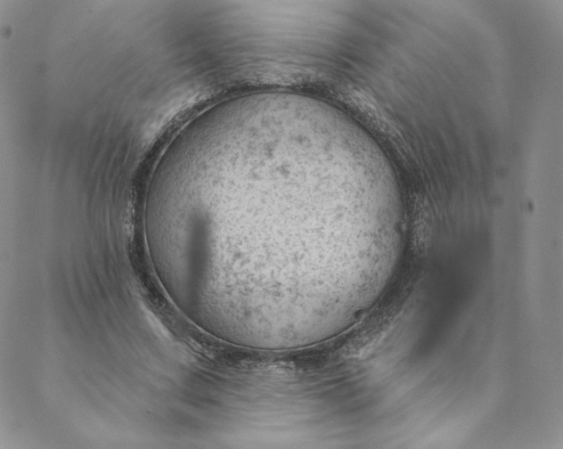 X0000088610683200706081435