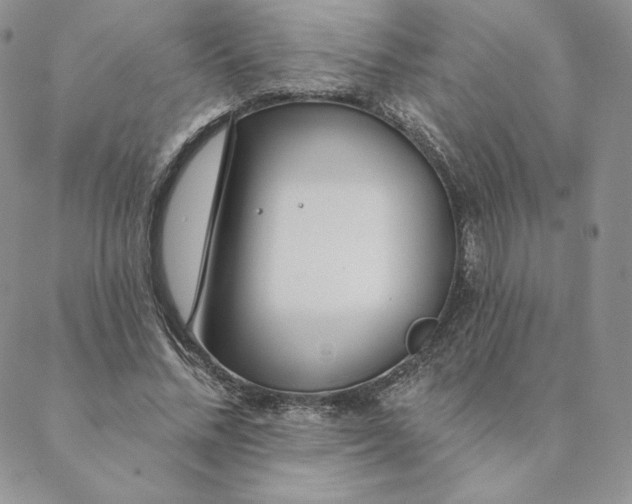 X0000088610684200706081435