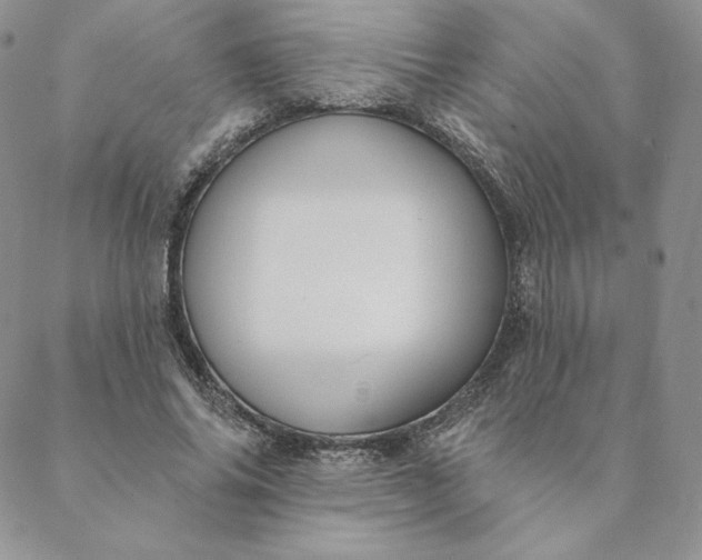 X0000088610686200706081435