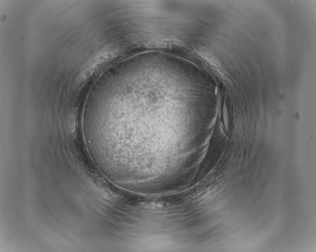 X0000088610687200706081435